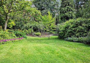 Optimiser l'expérience du jardin à Montlay-en-Auxois