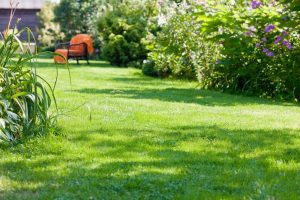 travaux jardin et paysage Montlay-en-Auxois